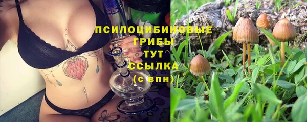 стафф Абаза