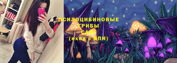 стафф Абаза