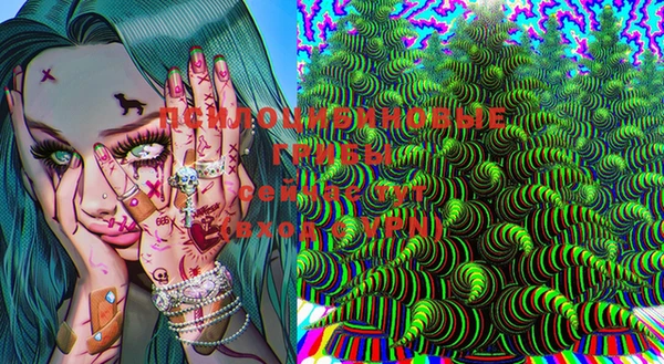 стафф Абаза