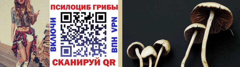 Галлюциногенные грибы GOLDEN TEACHER  Донецк 